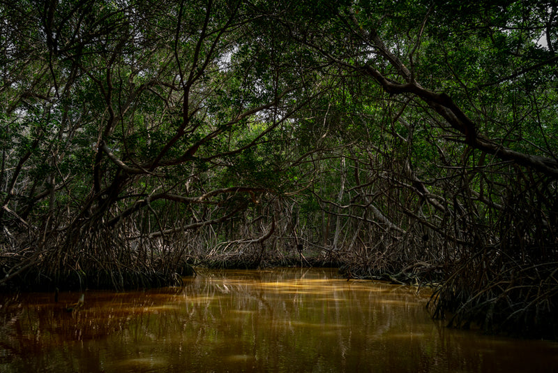 MANGLAR