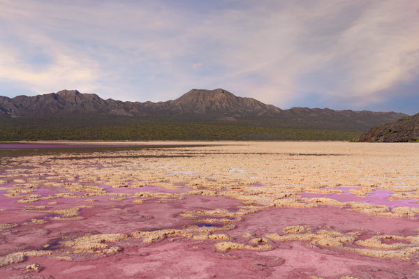 SALINAS ROSADAS